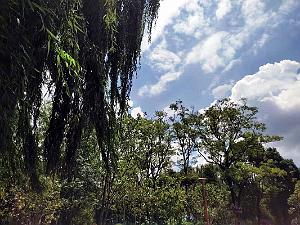 Kunming - Parc Cuihu - 43